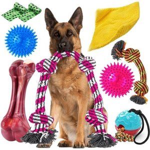 Heavy Duty Various Dog Chew Toys for Aggressive Chewers - 9 Pack Value Set
